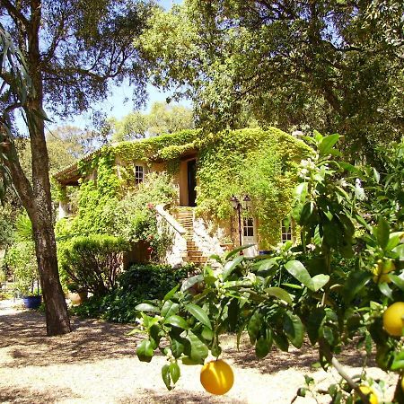 Le Bastidon Saint-Michel Bed and Breakfast Sainte-Maxime Exteriör bild