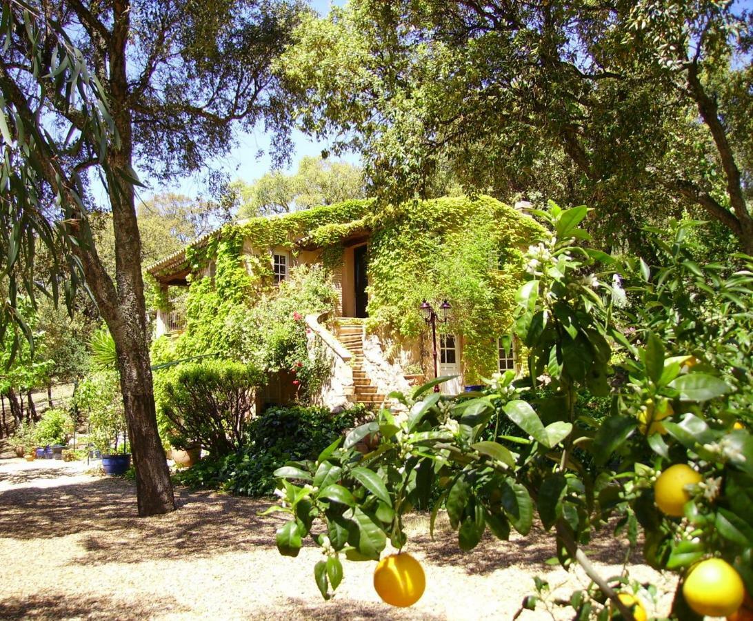 Le Bastidon Saint-Michel Bed and Breakfast Sainte-Maxime Exteriör bild